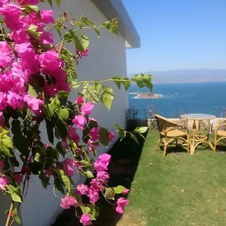 Bodrum Adabuku Luks 2+1 Ozel Plaj Ve Havuzlu Villa